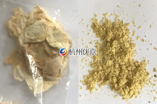 如何利用宋慈高通量多樣品組織研磨儀研磨植物組織？