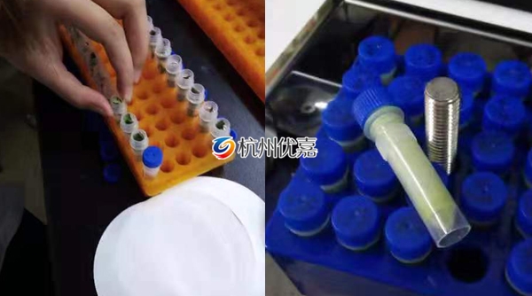 宋慈研磨儀批量研磨植物組織，速度快，重復(fù)性好