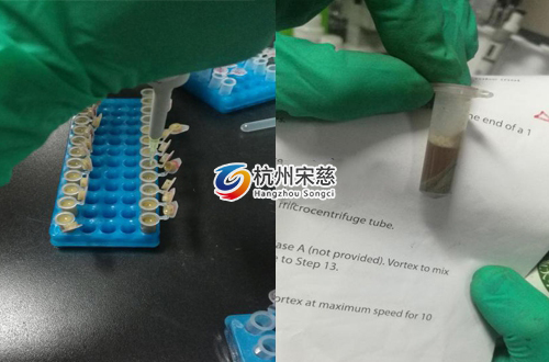 <a href=http://www.kfuf.cn/prouduct/lengdong/ target=_blank class=infotextkey>冷凍研磨儀</a>